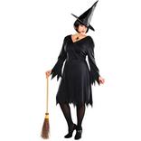 Adult Classic Witch Costume Plus Size