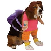 Dora the Explorer Dog Costume