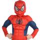 Boys Classic Spider-Man Muscle Costume