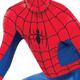 Adult Spider-Man Partysuit