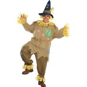 Adult Mr. Scarecrow Costume Plus Size