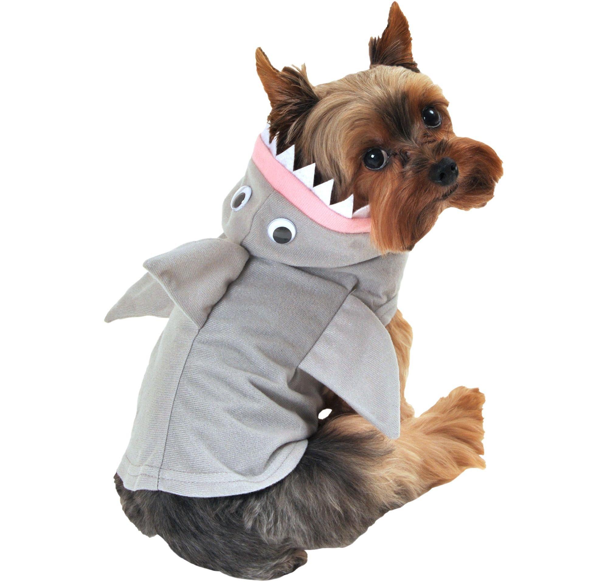 Dog 2025 shark outfit