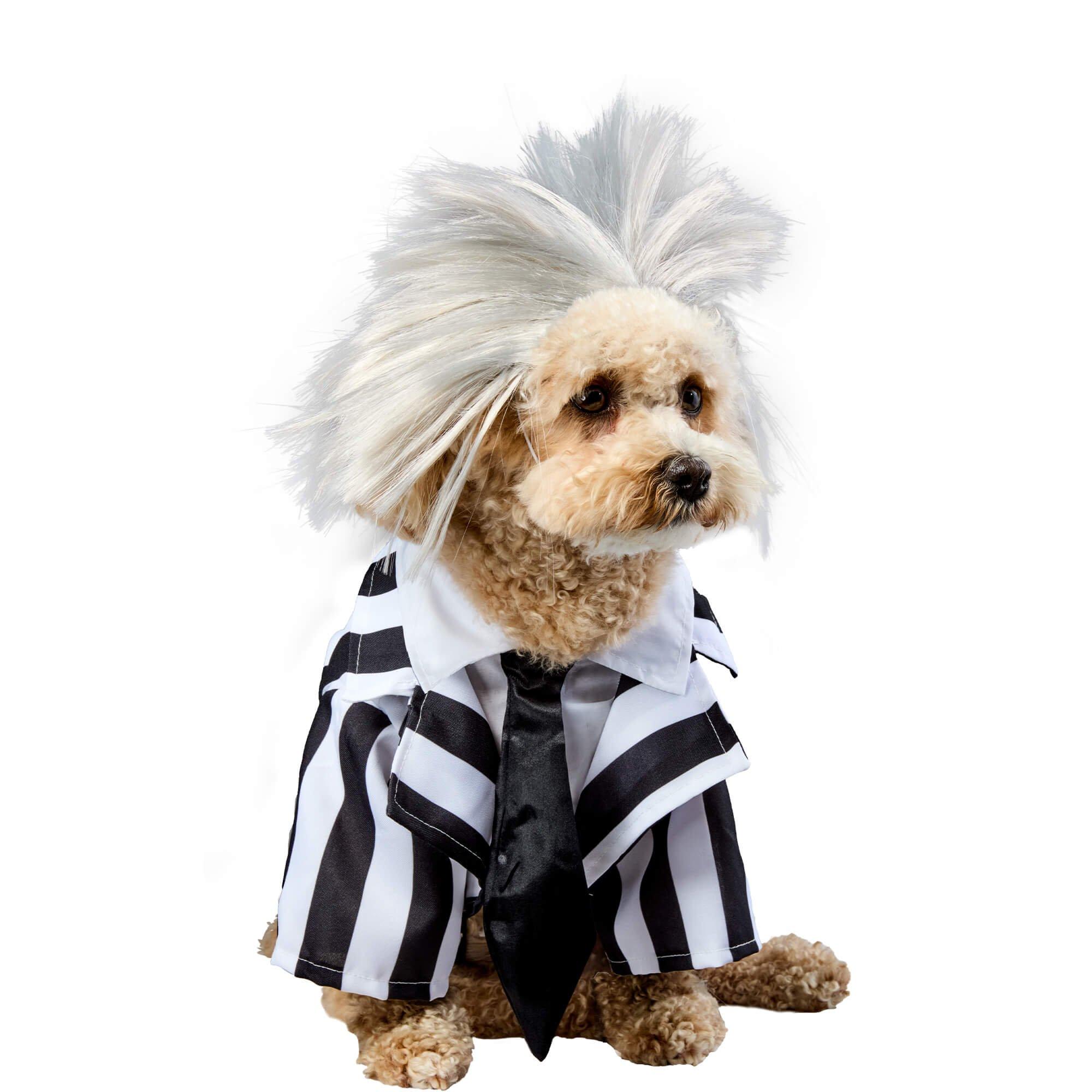 NFL Dog Costumes