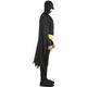 Adult Batman Muscle Costume