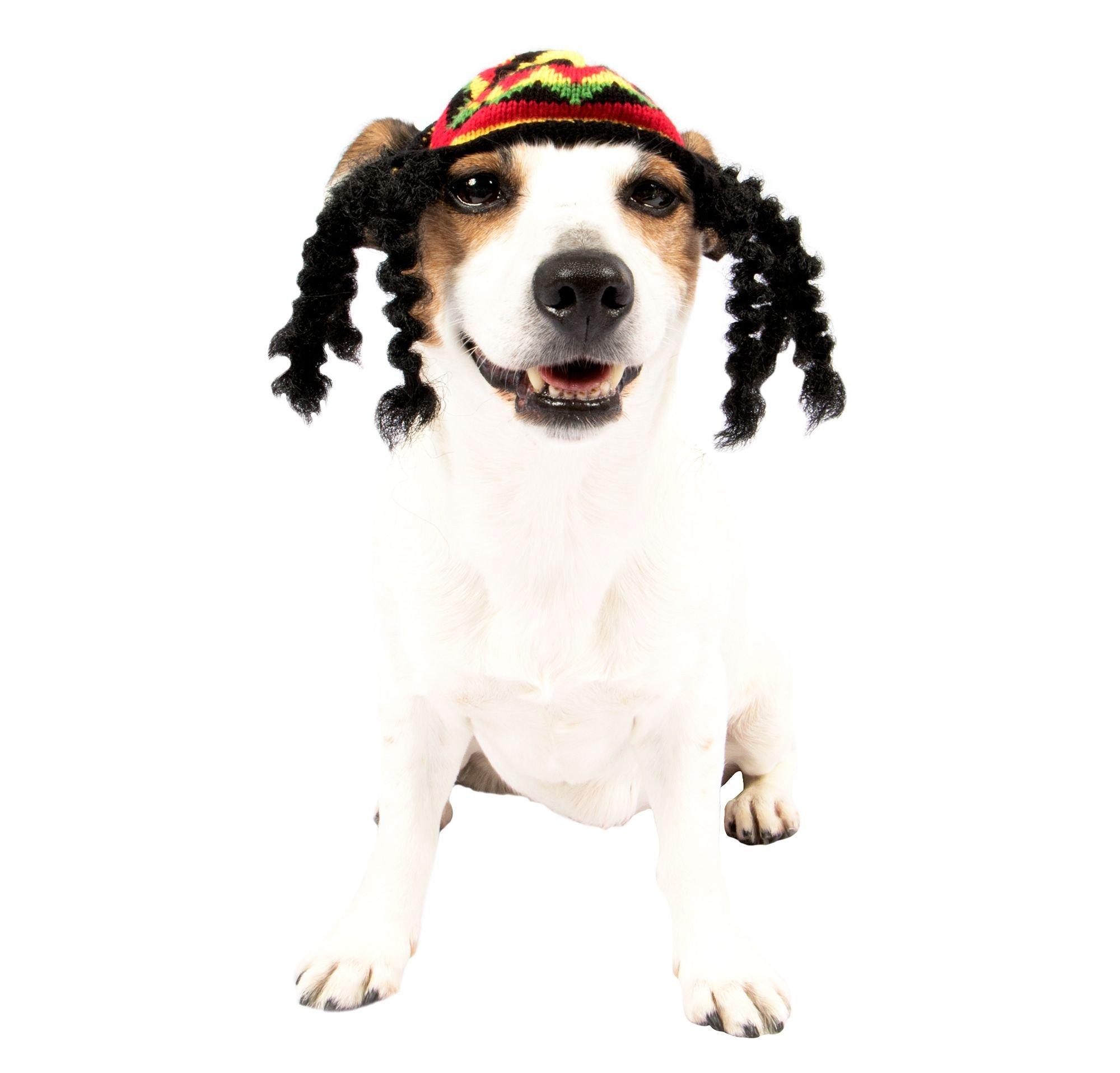 Dog rasta clearance hat