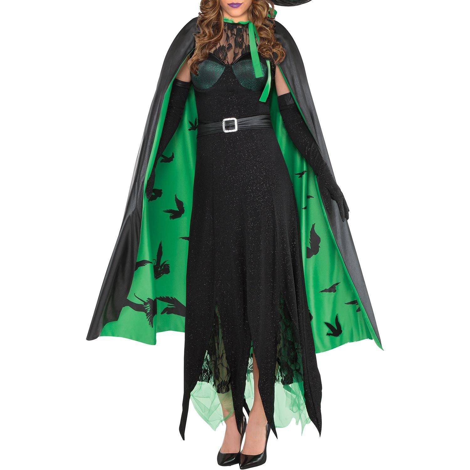 Womens Wicked Witch Costume - The Wizard of Oz