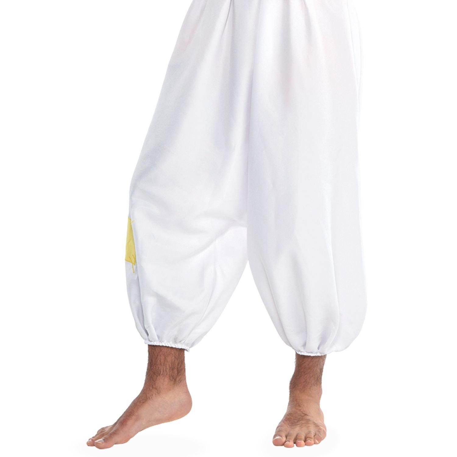 Mens Aladdin Costume