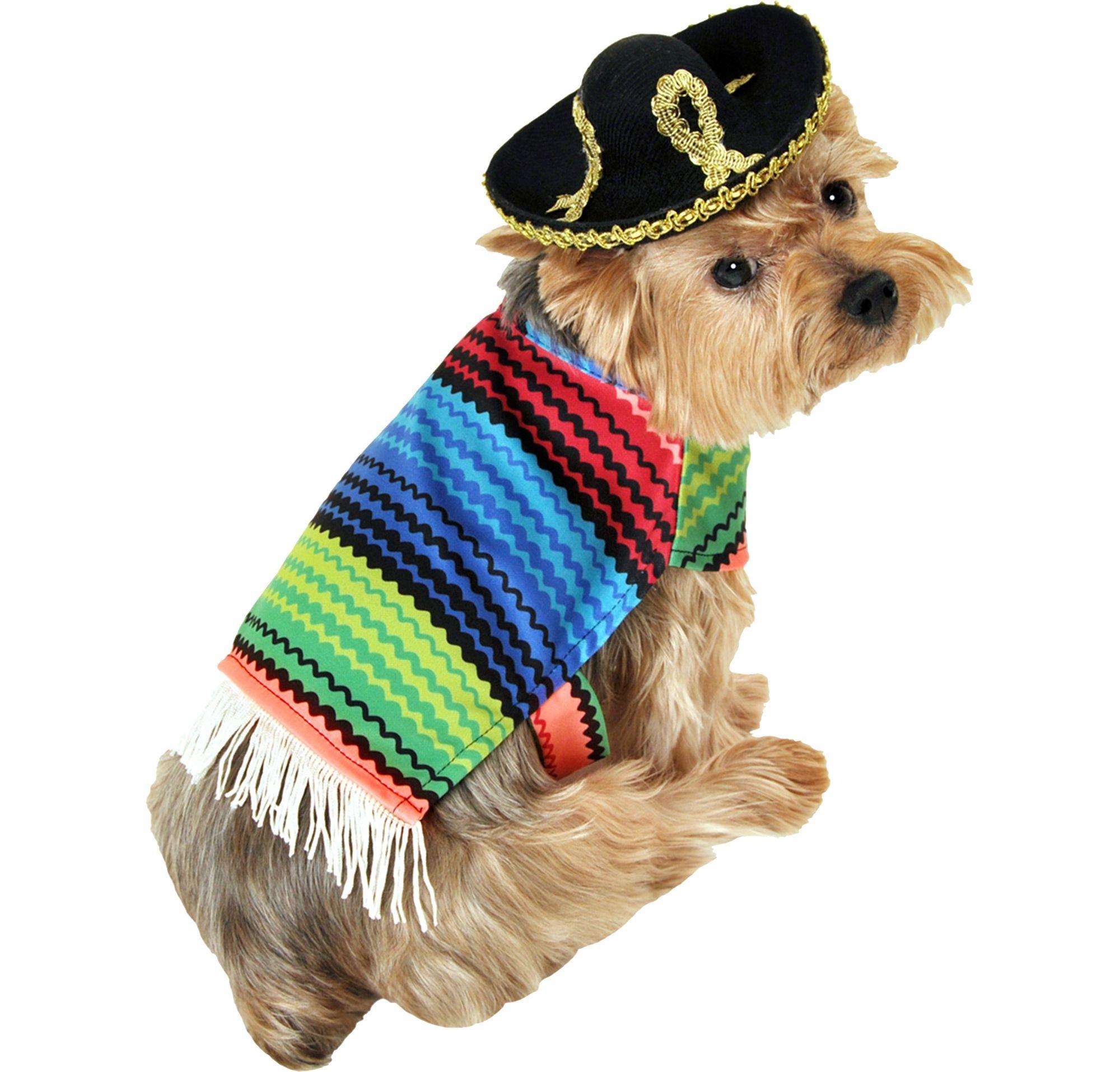 Amigo Dog Costume