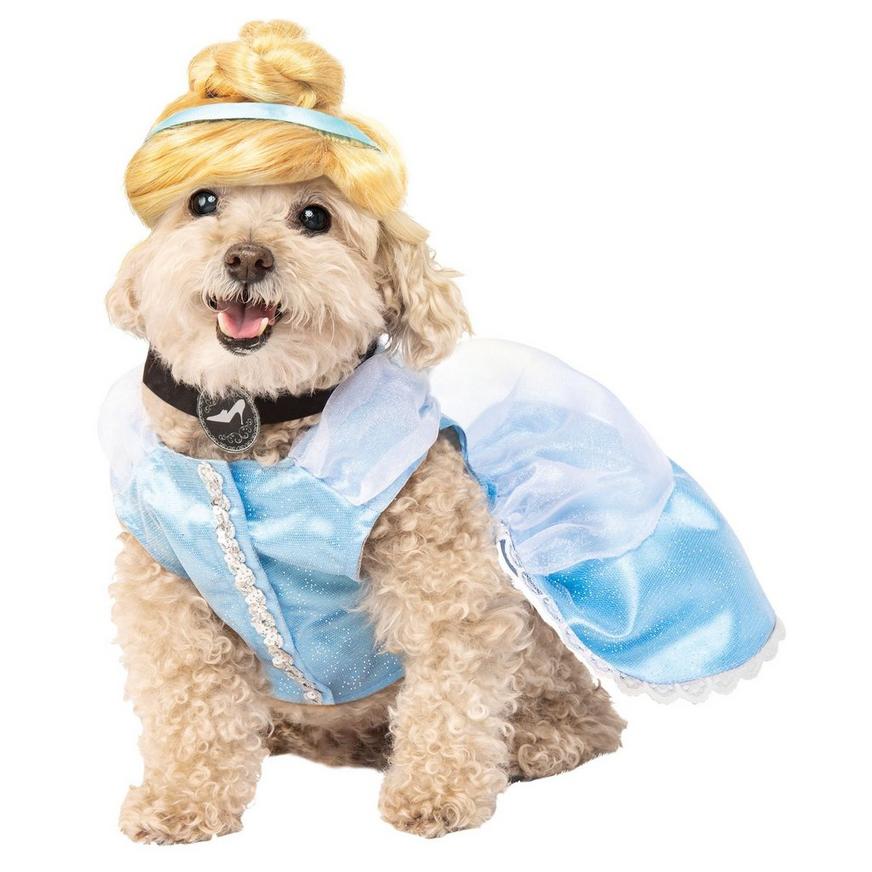 Cinderella Dog Costume