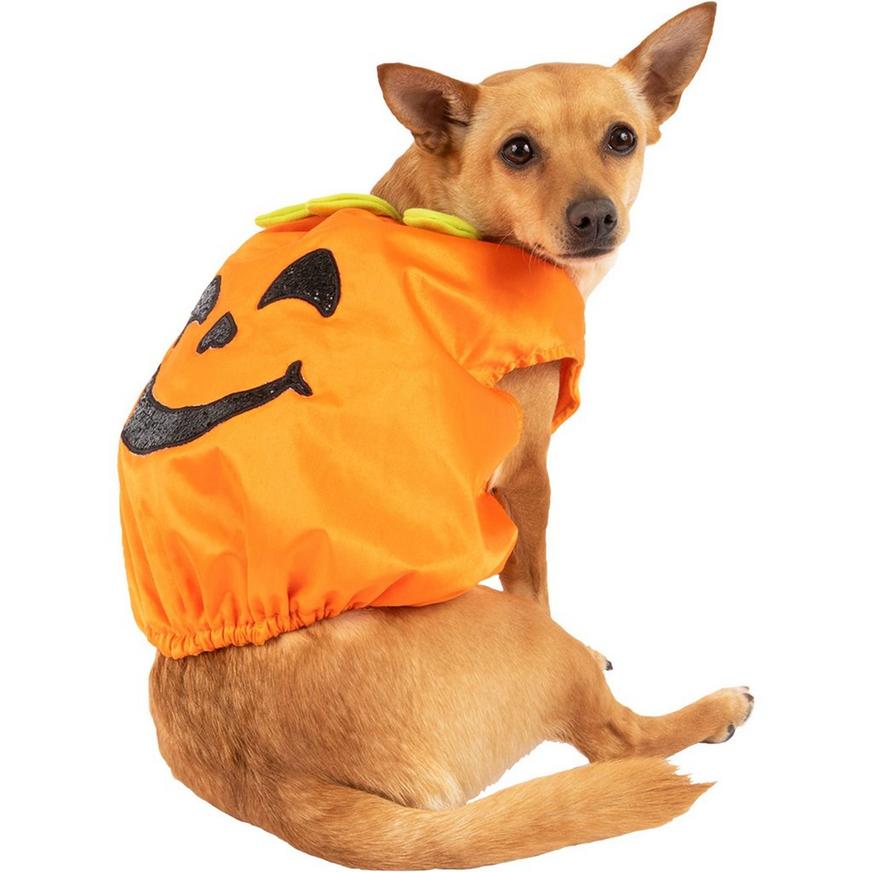 Glitter Pumpkin Dog Costume