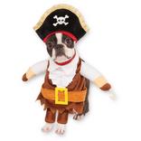 Walking Pirate Dog Costume