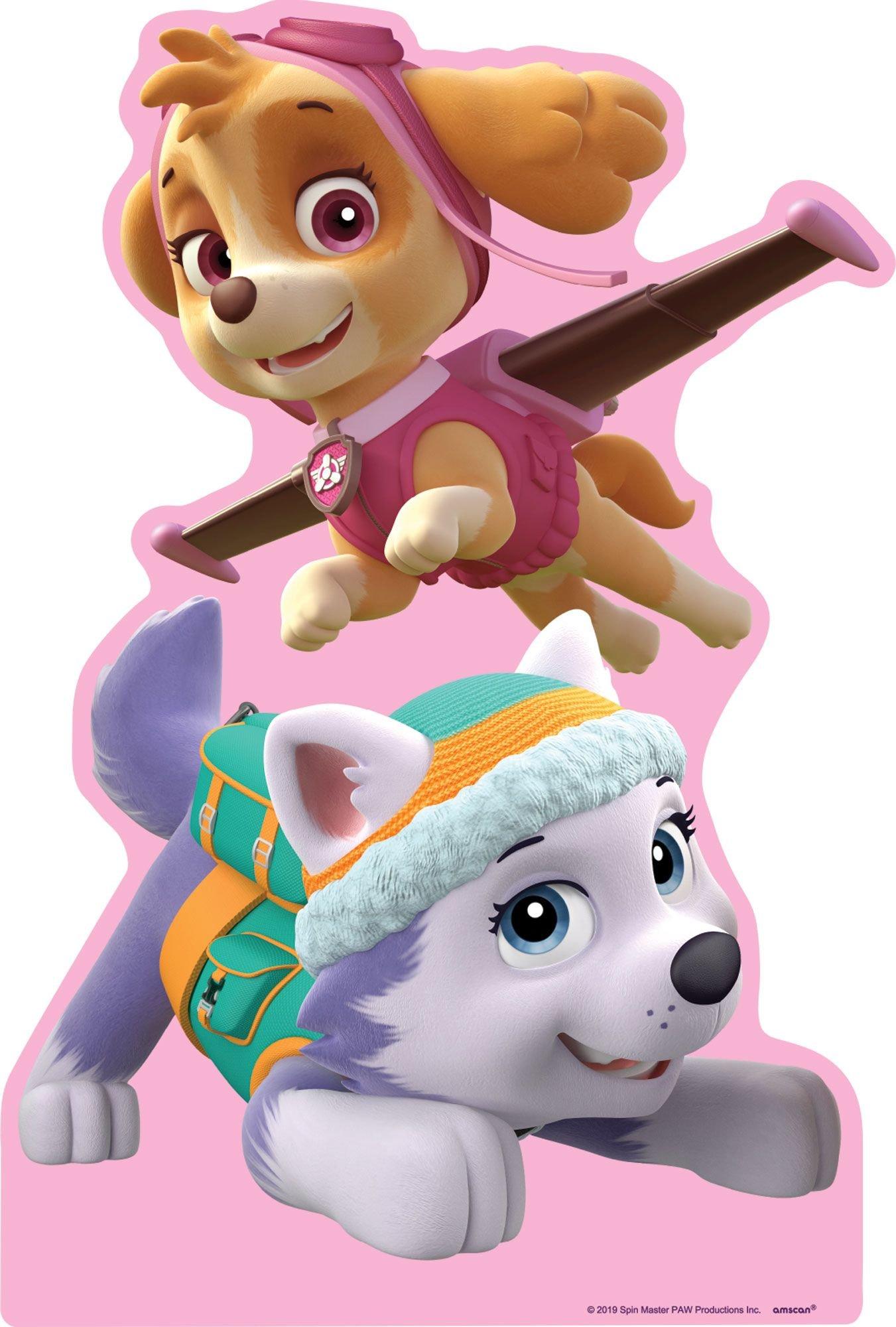 Dankbaar deugd kans Skye & Everest Centerpiece Cardboard Cutout, 18in - PAW Patrol | Party City