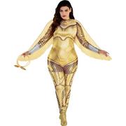 Adult Gold Armor Wonder Woman Costume Plus Size - WW 1984