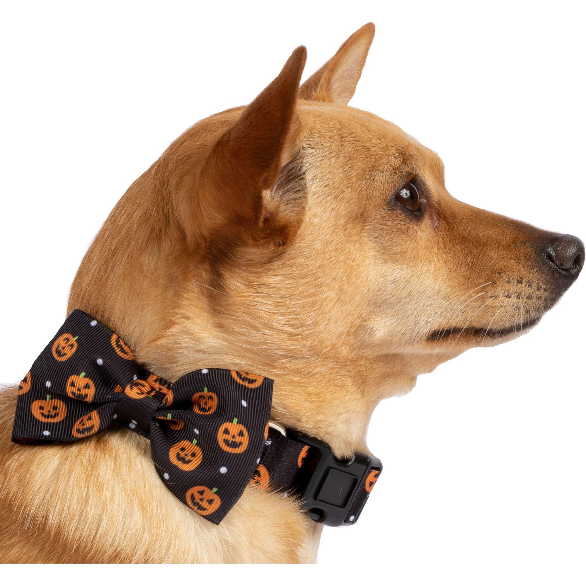 Collar Bow Tie Set - Gentleman's Toffee - Custom Designer Dog