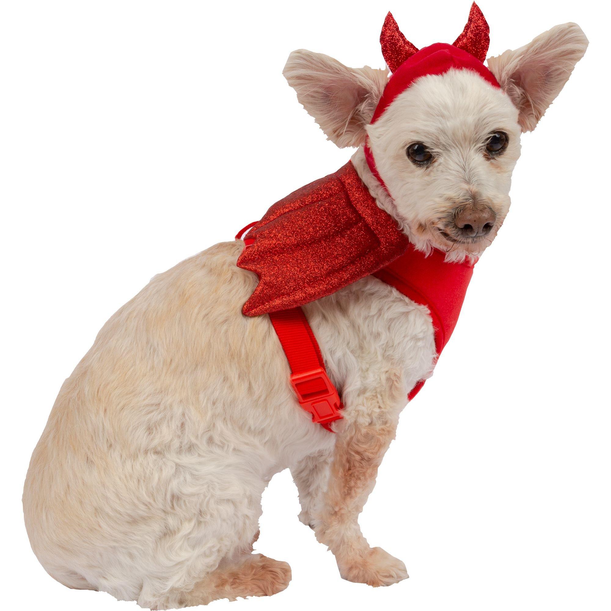 Dog harness 2024 halloween costume