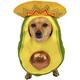 Avocado Sombrero Costume for Dogs