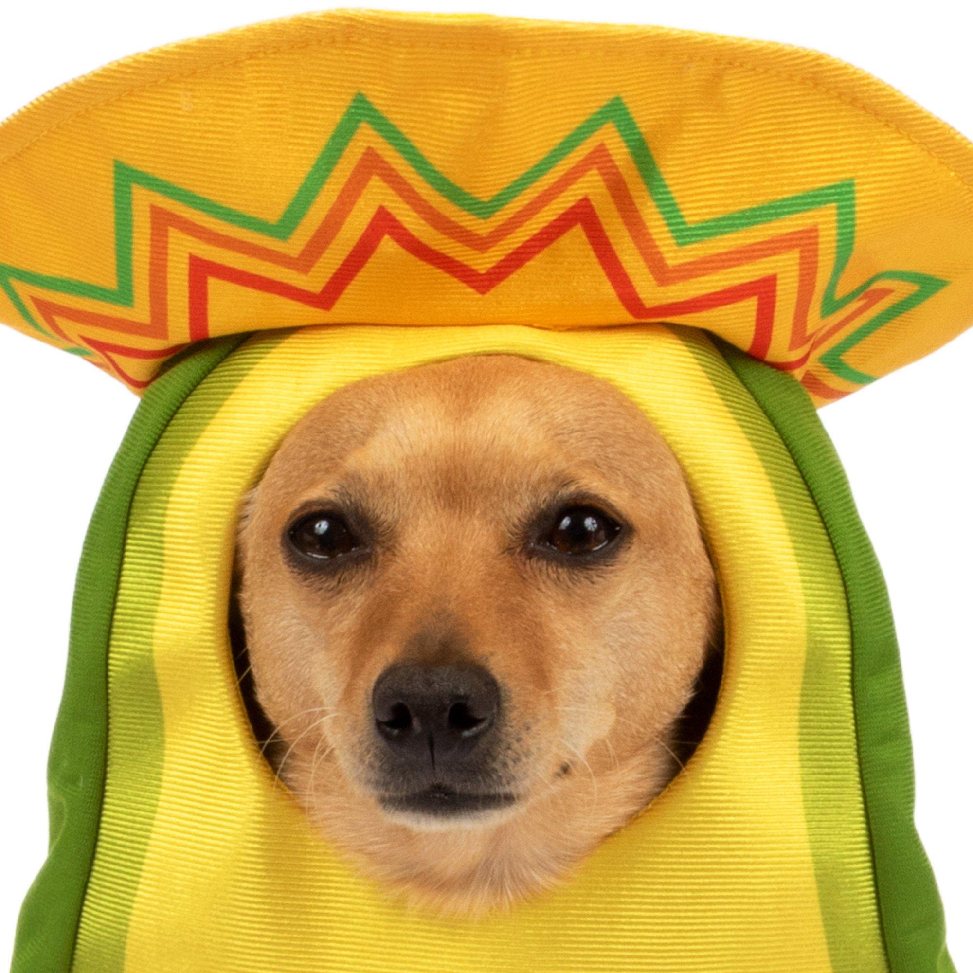 Avocado Sombrero Costume for Dogs