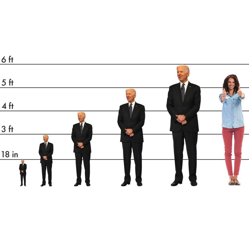 VICE PRESIDENT JOE BIDEN DEMOCRAT LIFESIZE CARDBOARD STANDUP STANDEE CUTOUT NEW VICE PRESIDENT JOE BIDEN DEMOCRAT LIFESIZE CARDBOARD STANDUP STANDEE CUTOUT NEW