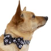 Black & White Skull Halloween Bow Tie Collar for Dogs