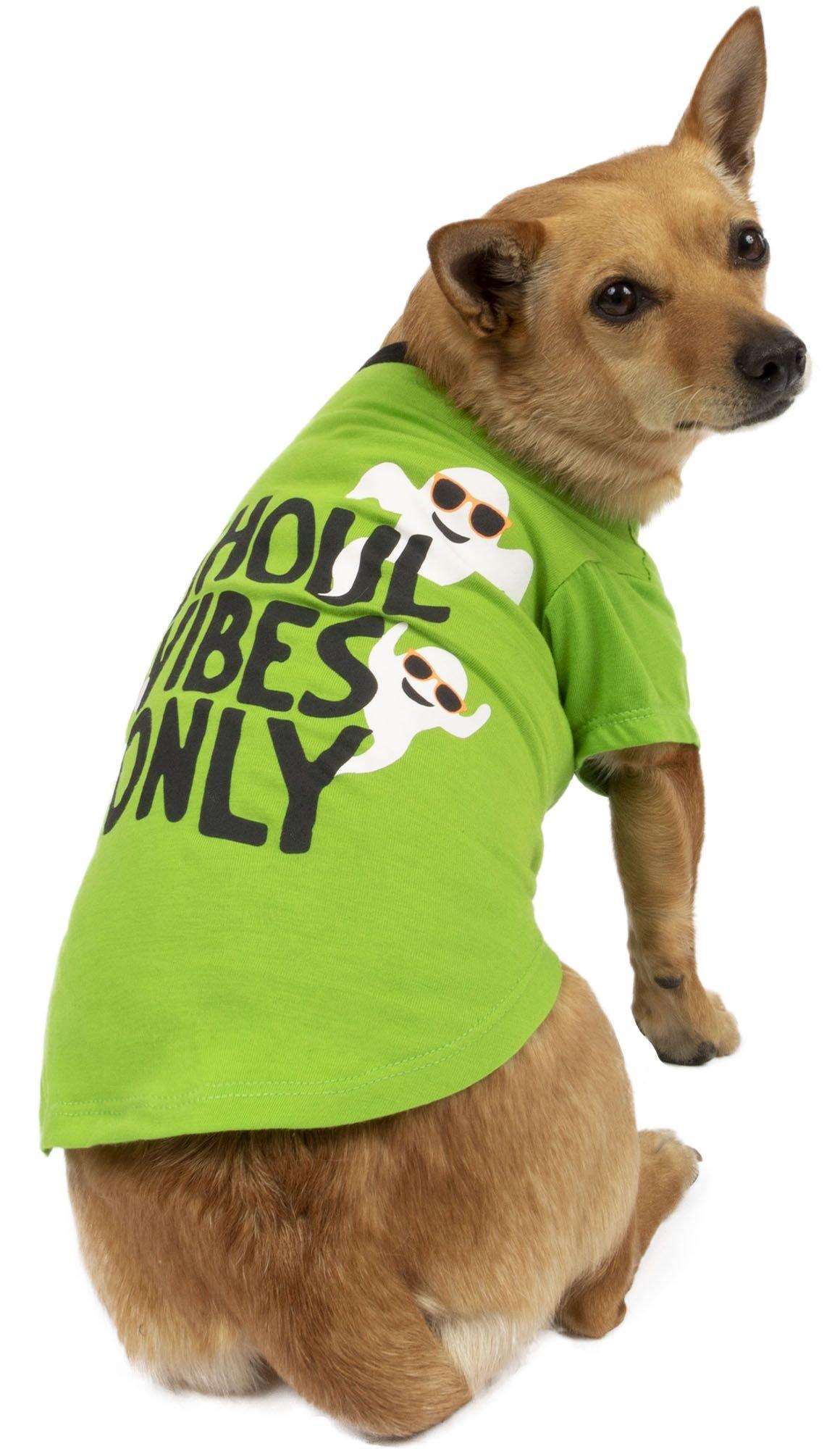  Halloween Dog Costume With Pumpkin Hocus Pocus Premium T-Shirt  : Clothing, Shoes & Jewelry