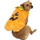 Fuzzy Halloween Pumpkin Costume for Dogs