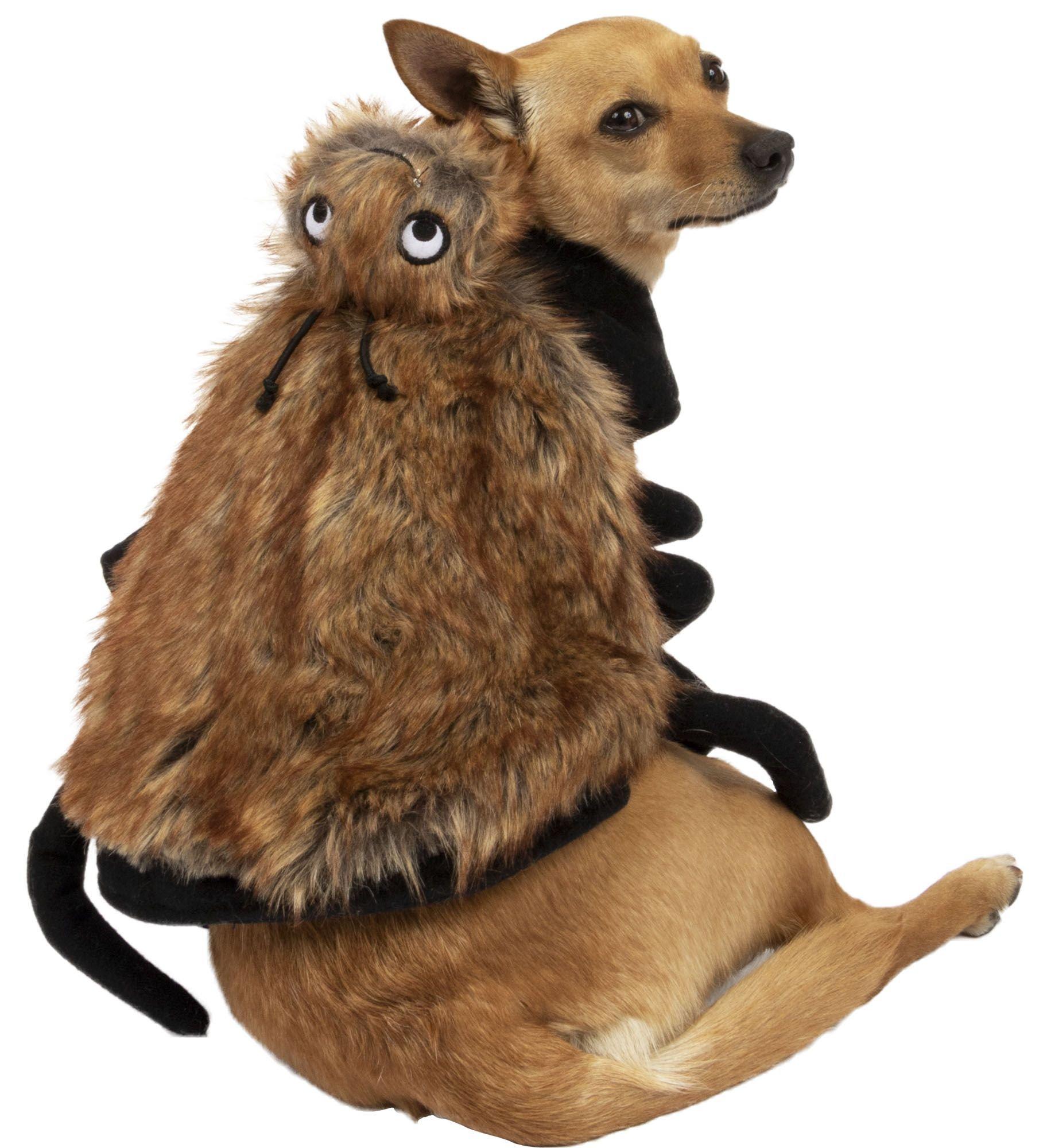 Halloween spider hotsell costume for dogs