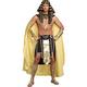 Adult Egyptian King Costume
