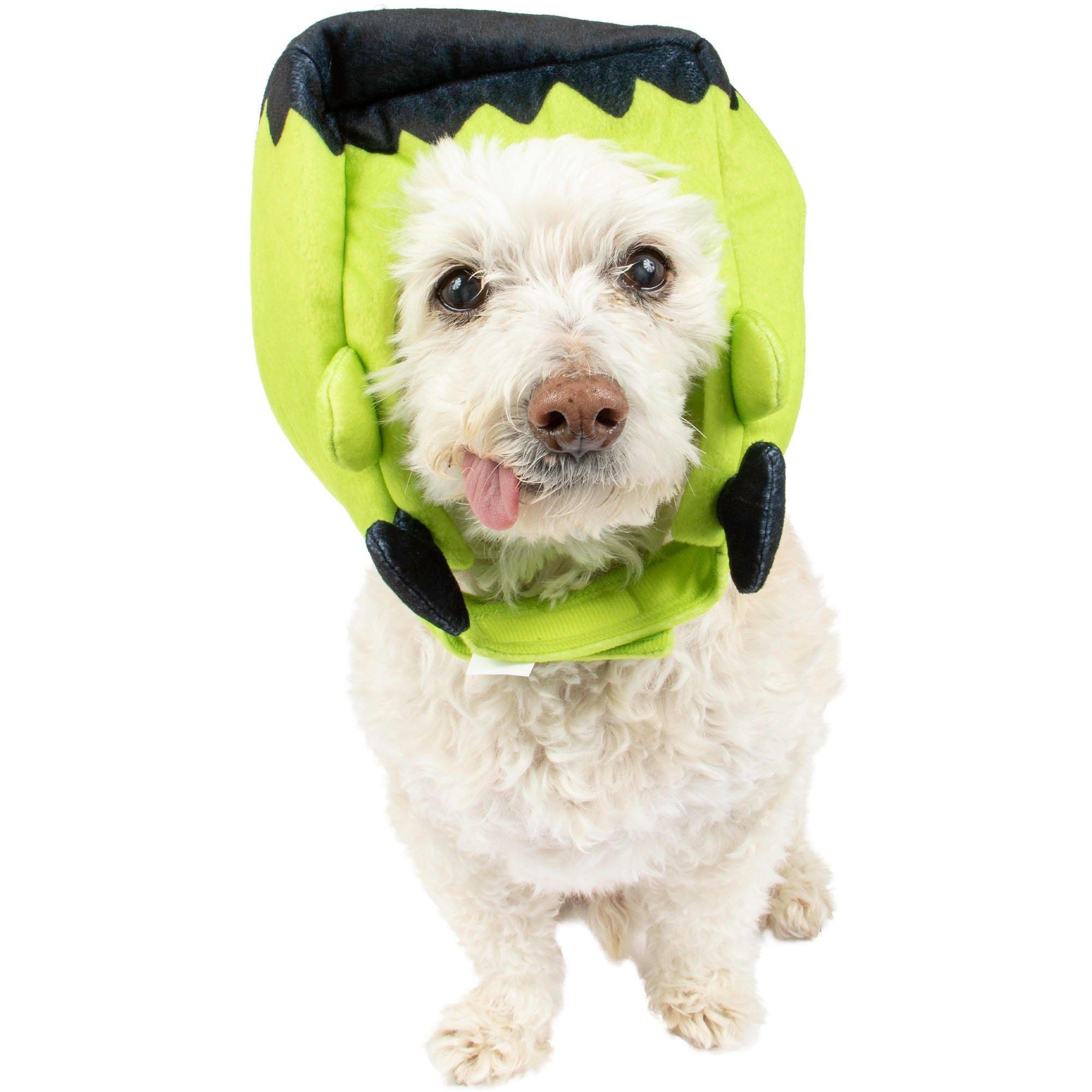 Frankenstein's Monster Dog Hat | Party City