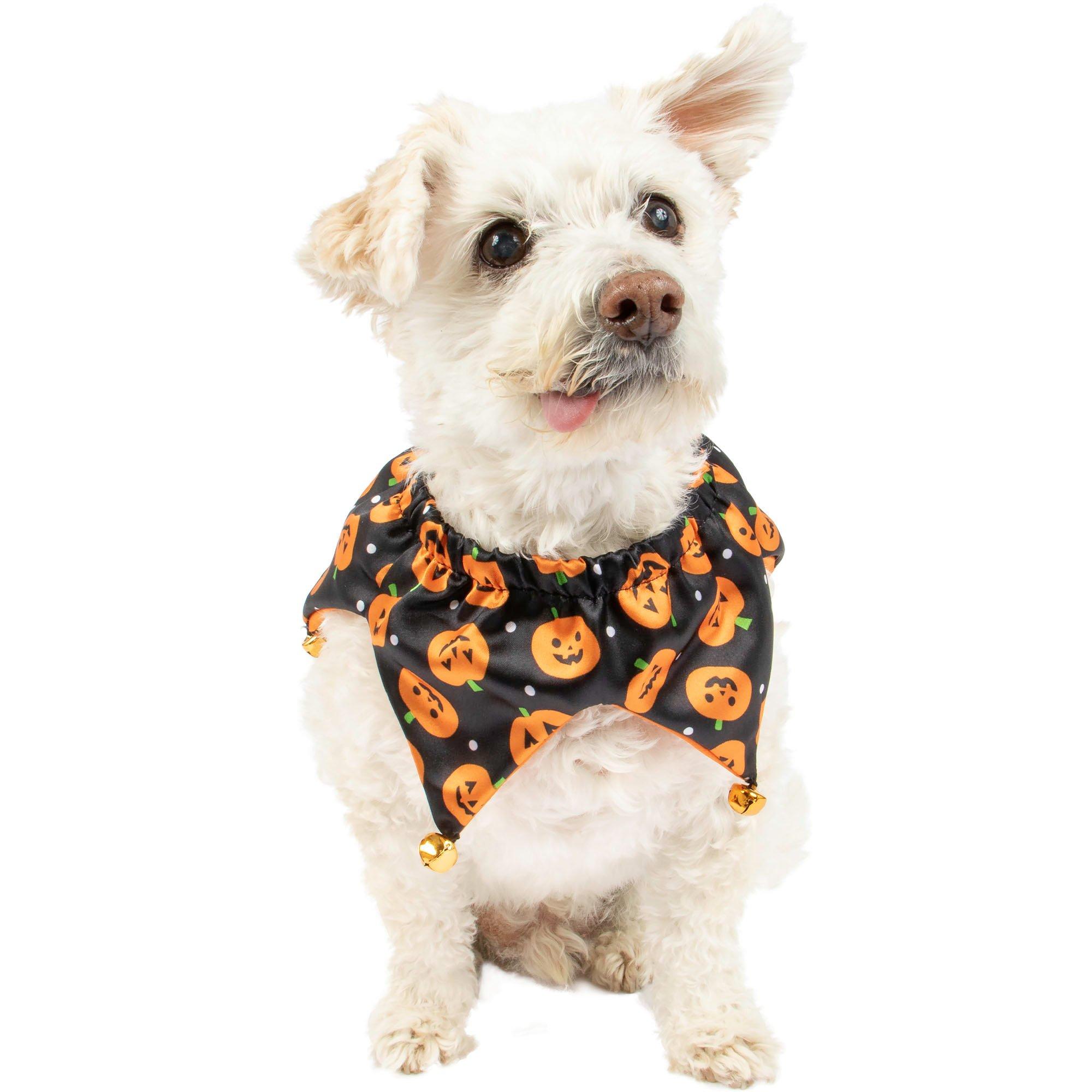 Pet Bandana  Jack O'Lantern Spec