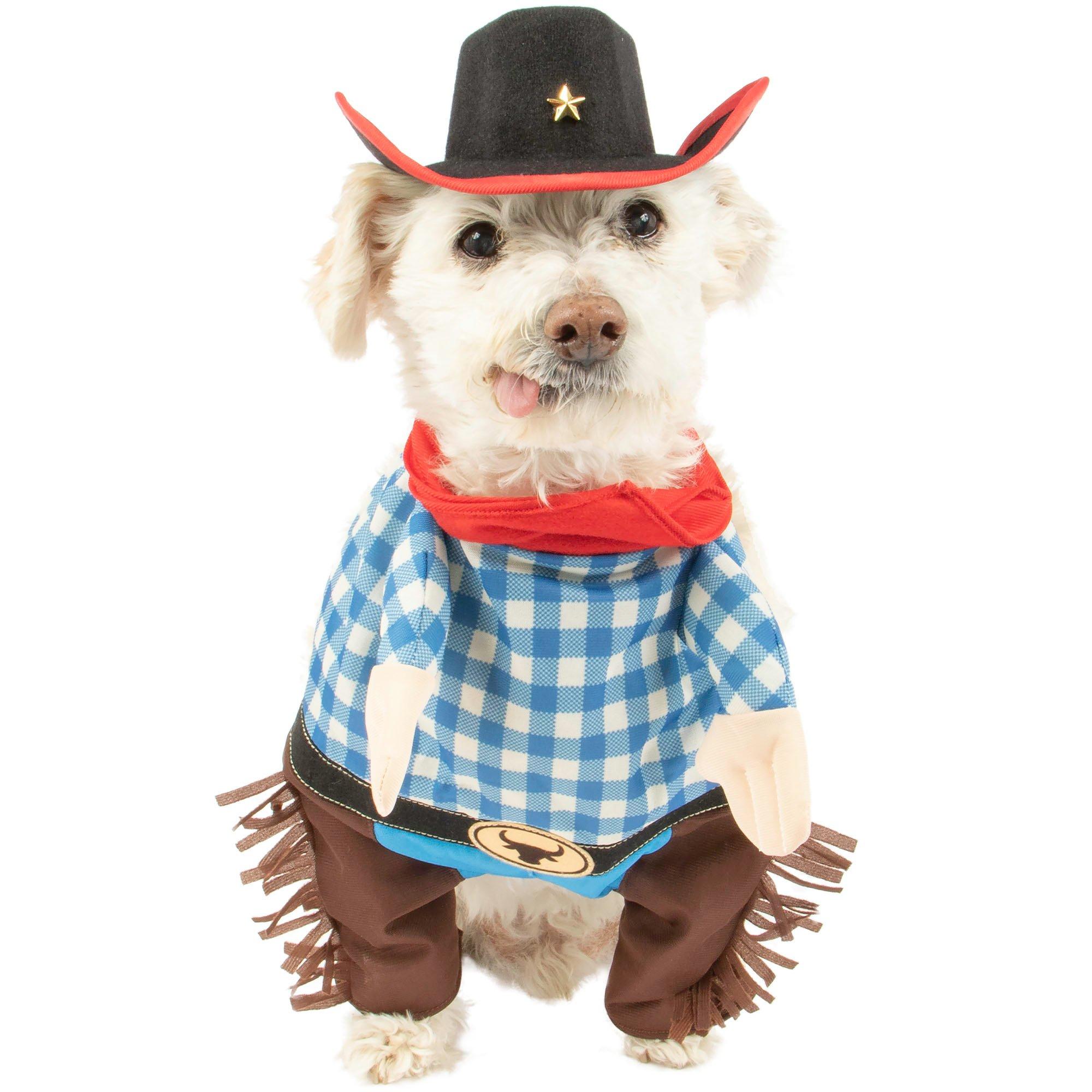 Walking Western Cowboy Dog Costume | City
