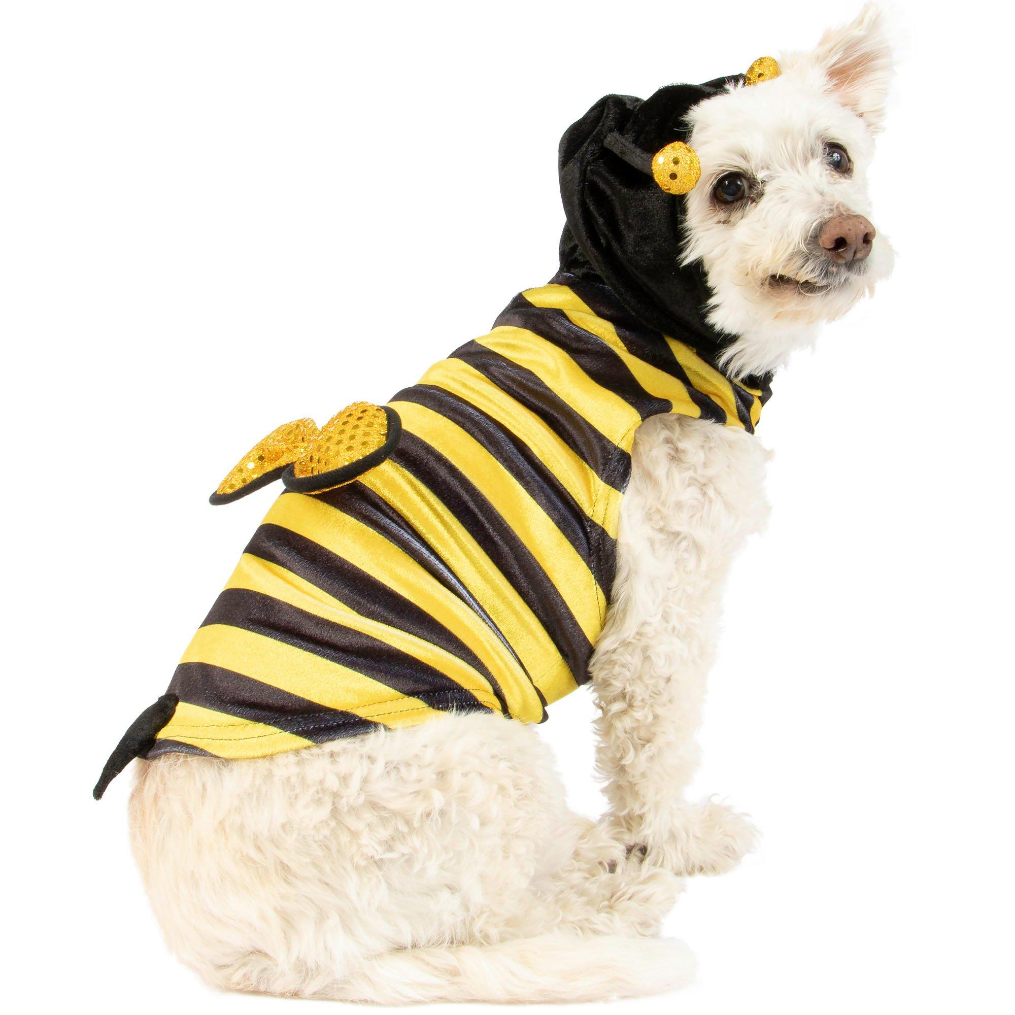 Dogs in 2024 bee costumes