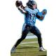 NFL Tennessee Titans Ryan Tannehill Life-Size Cardboard Cutout, 5ft