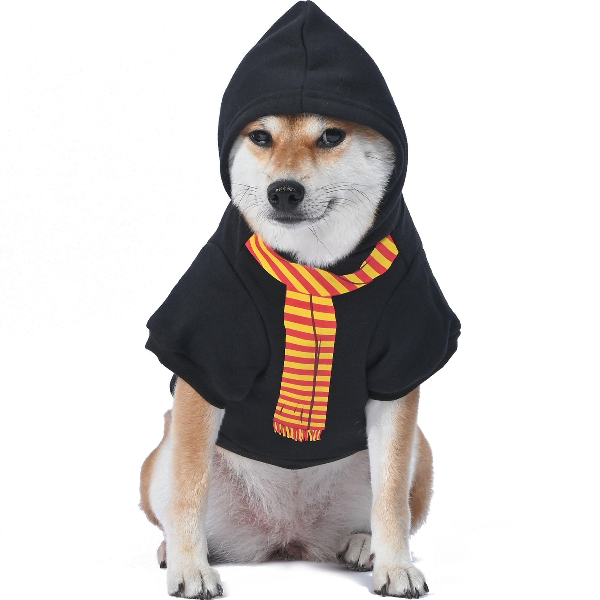 Dog hotsell in hoodie