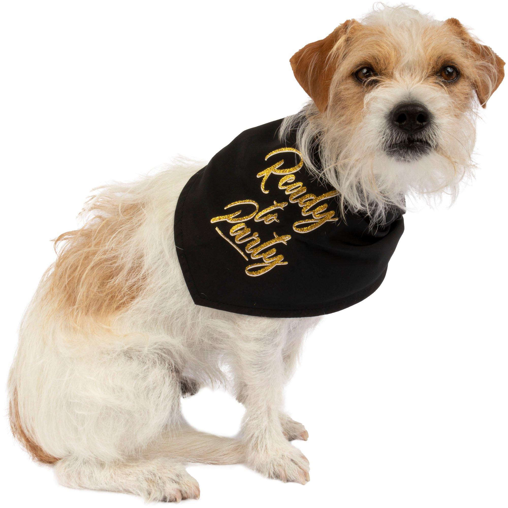 Black & Gold Glitter Ready to Party Pet Bandana