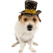 Black & Gold Sparkle Star Pet Top Hat