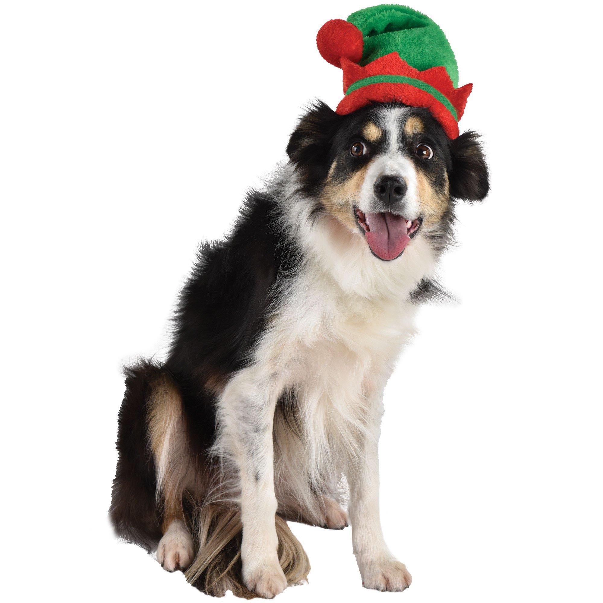 Dog store elf hat