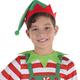 Kids' Elf Costume
