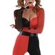 Adult Harley Quinn Costume - DC Comics