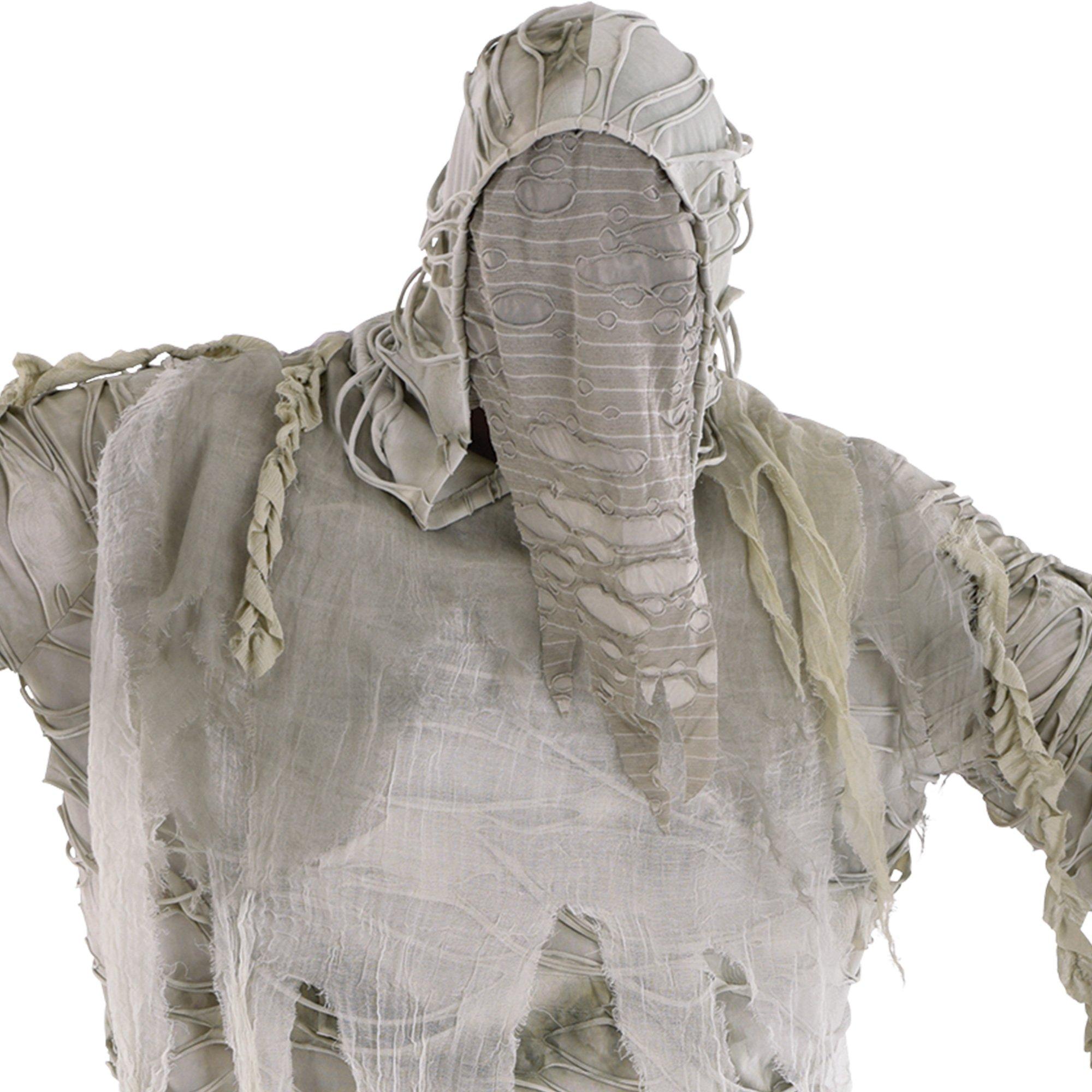 Adult Mummified Plus Size Costume