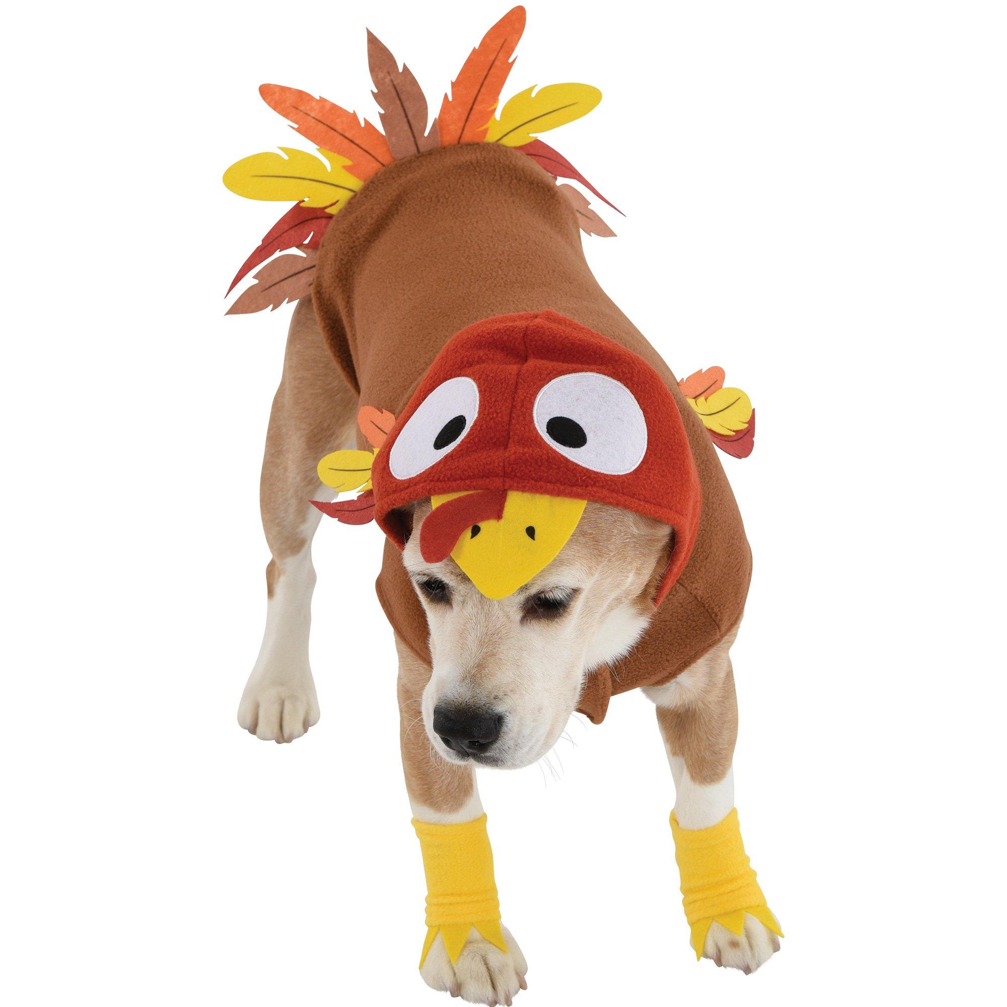 Dog in chicken clearance costume