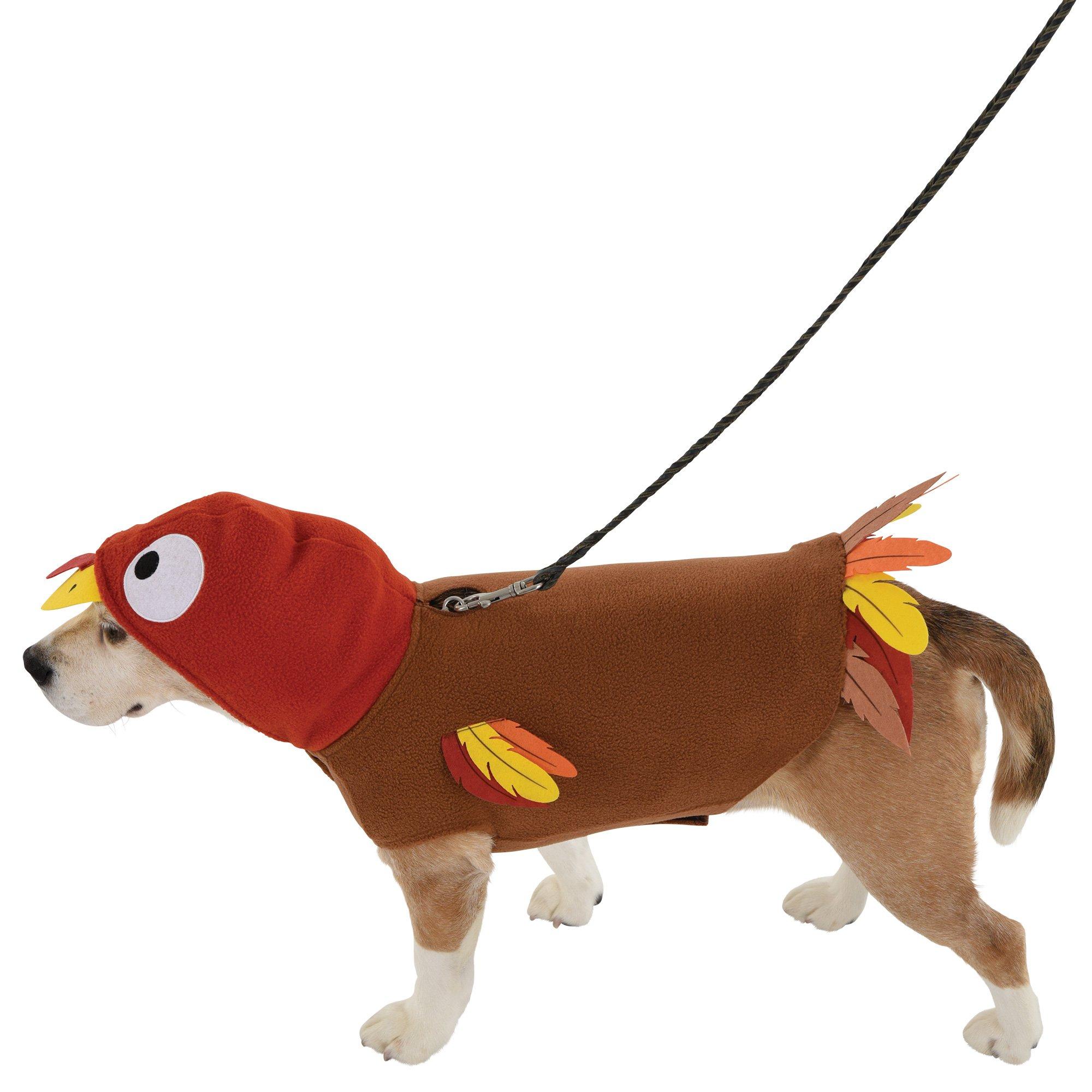 Large dog 2024 turkey costume