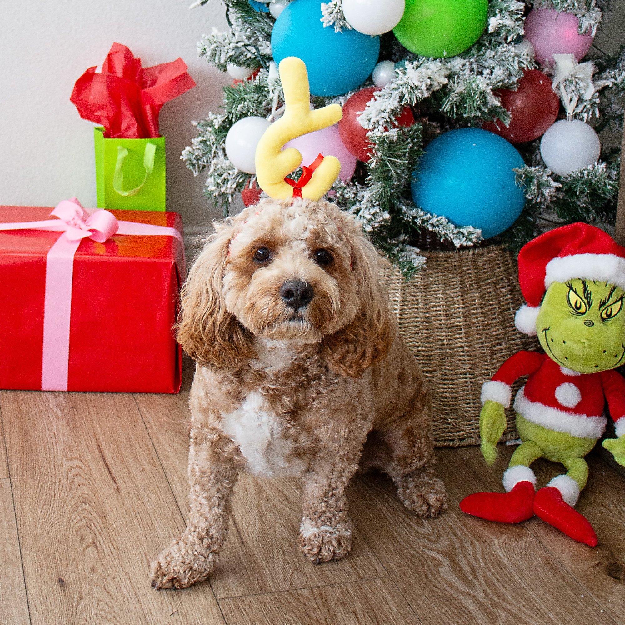 Grinch dog antler headband hotsell