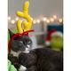 Max Reindeer Antler Pet Headband - Dr. Seuss: How The Grinch Stole Christmas