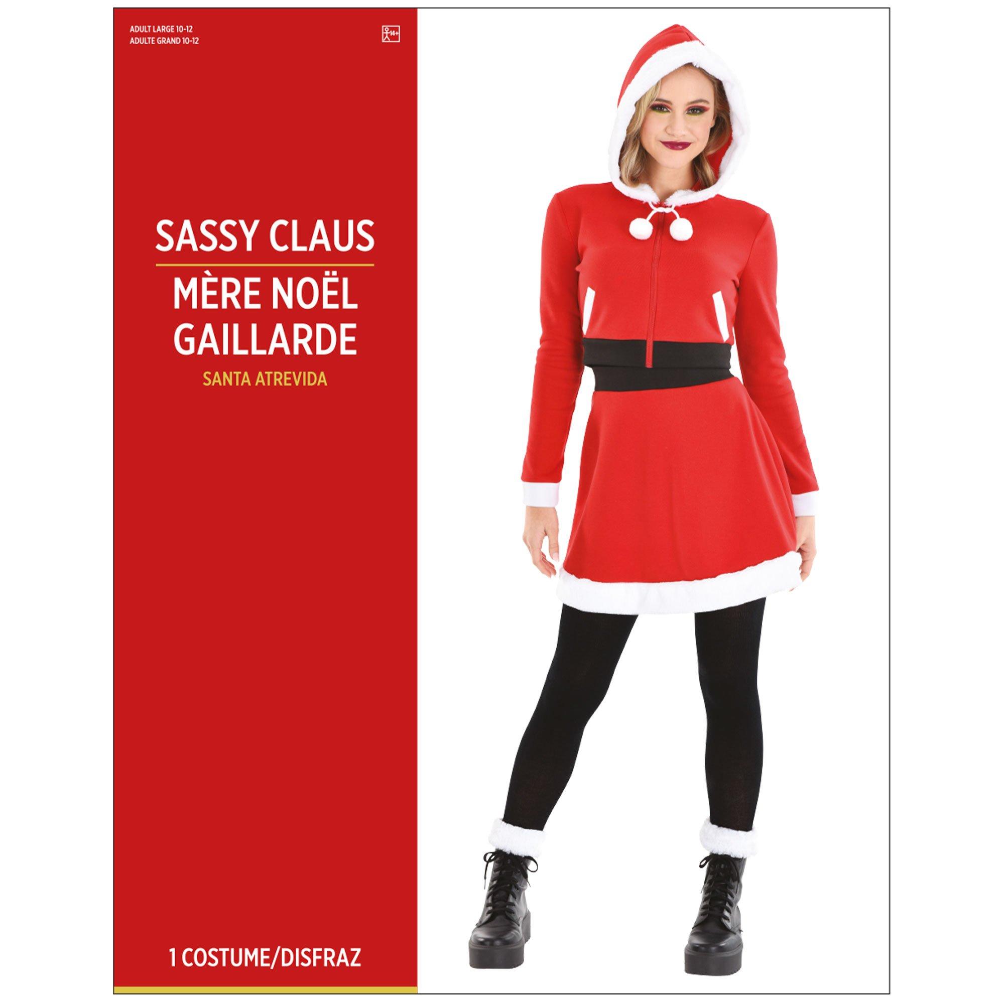 Adult Sassy Claus Costume