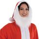 Adult Santa One Piece Zipster Costume with Removeable Beard