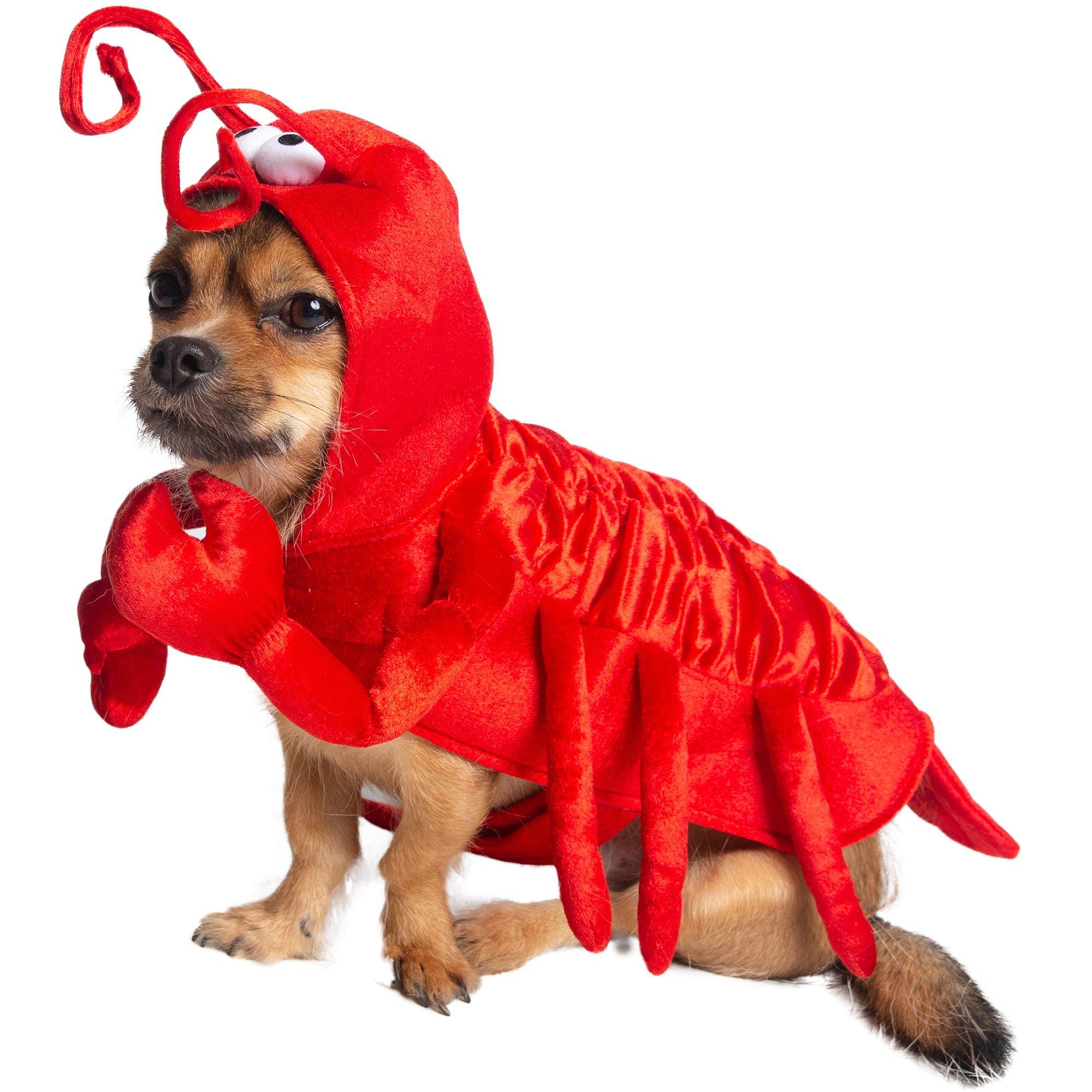 Lobster Dog Costume Party City