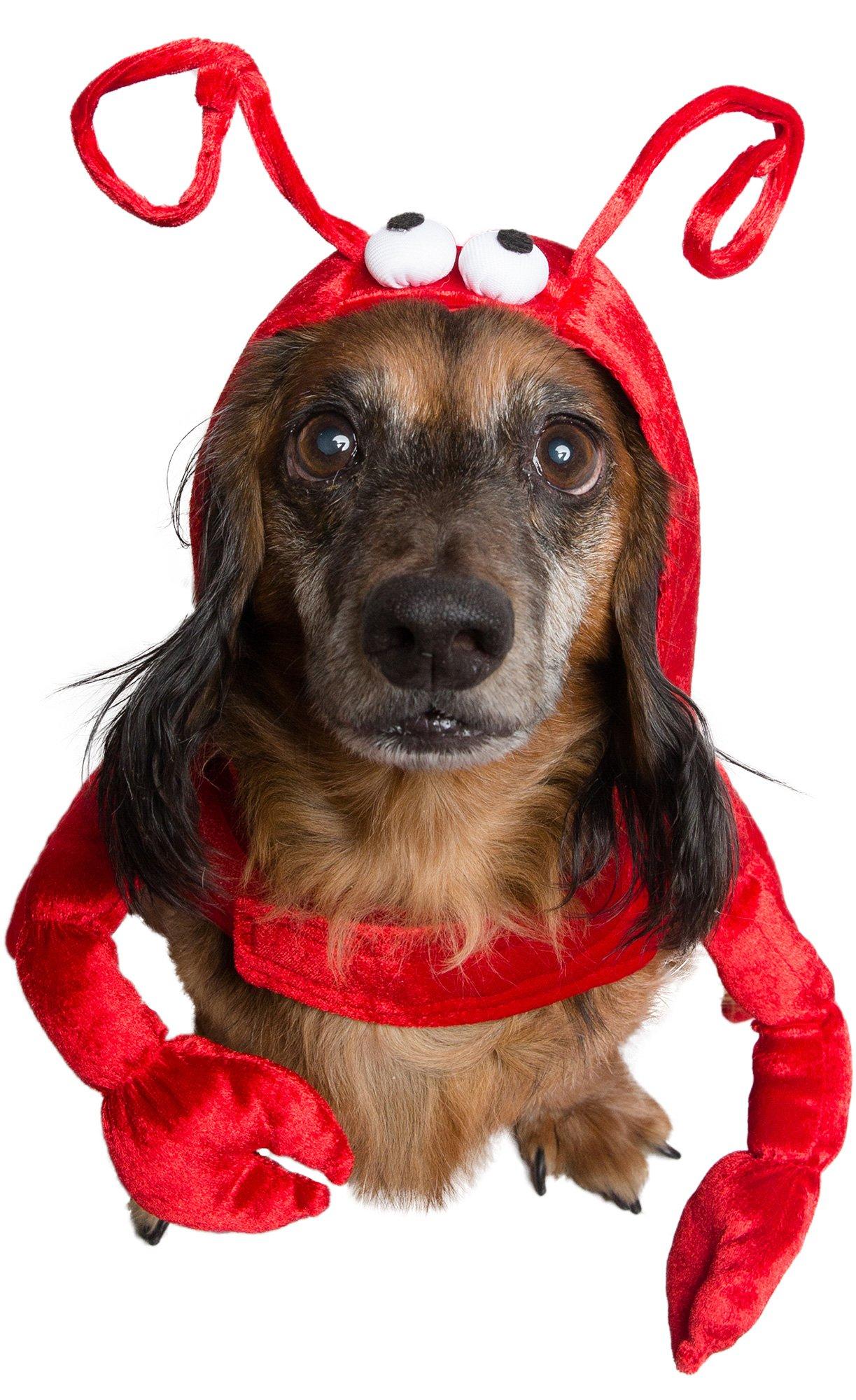 Lobster Dog Costume Party City