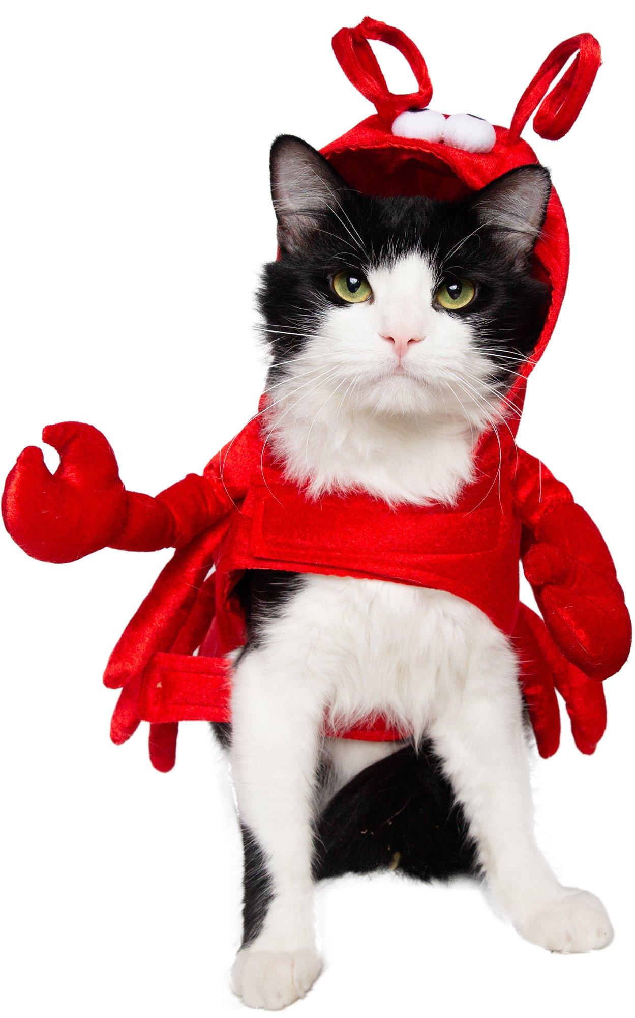Lobster Dog Costume Party City