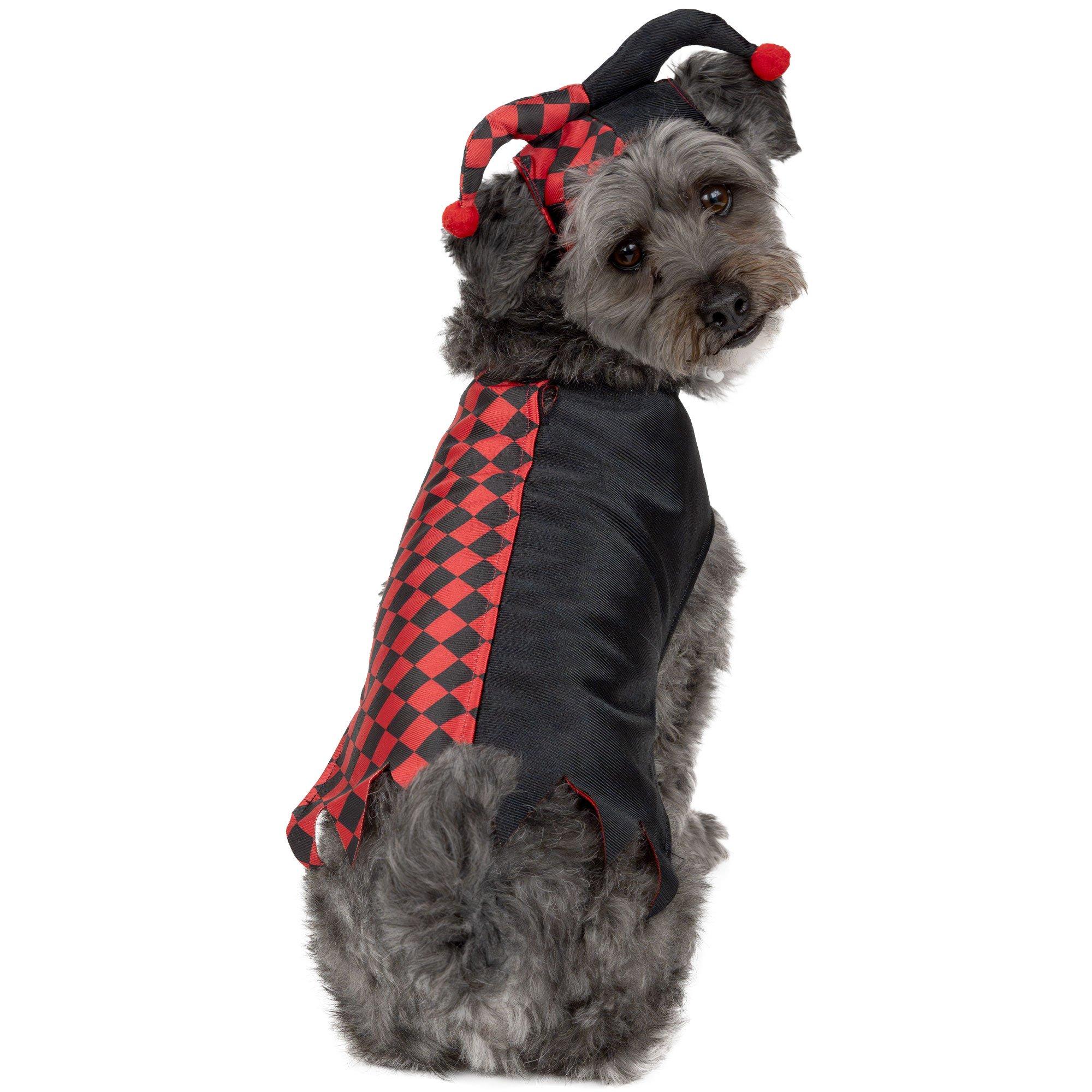 Harlequin Jester Dog Costume