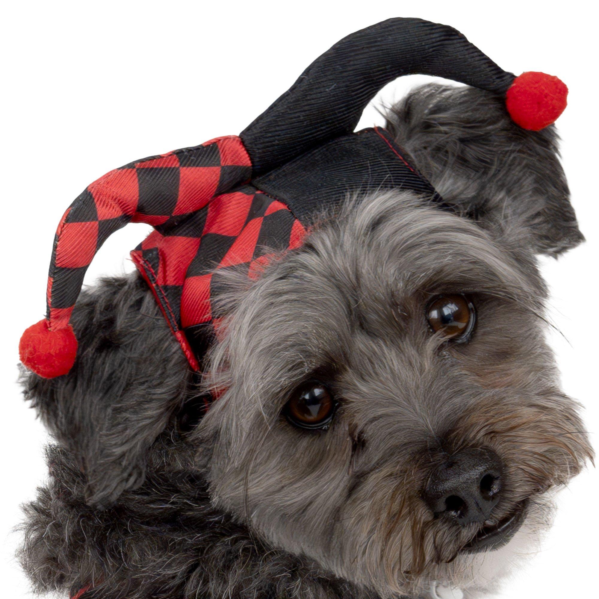 Harlequin Jester Dog Costume